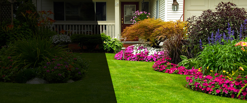 Celina Landscapers