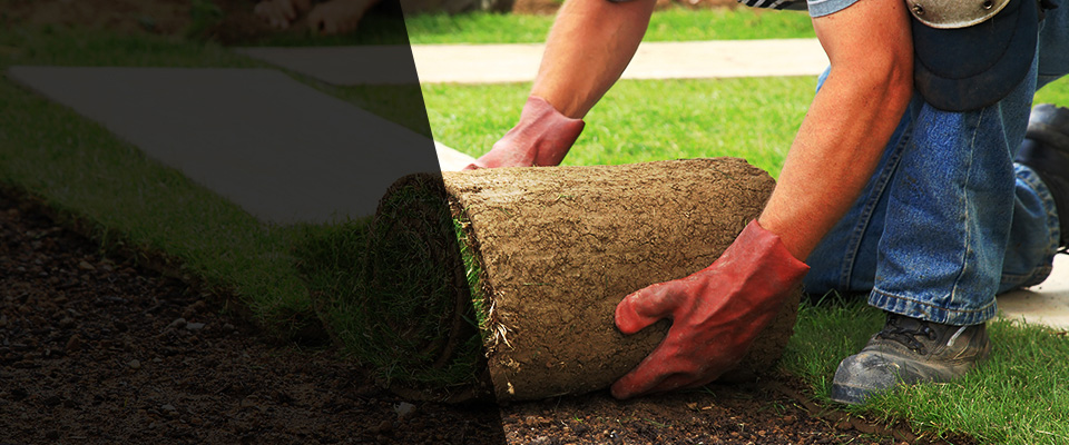Celina Landscapers